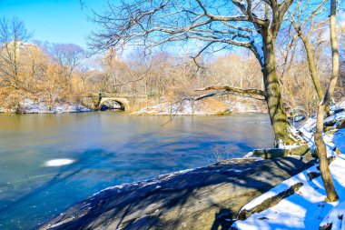 Kış manzarası içinde Central Park, New York City buz ve kar, ABD ile