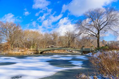 Yay köprü kışın güneşli gün, Central Park, Manhattan, New York City, Amerika Birleşik Devletleri