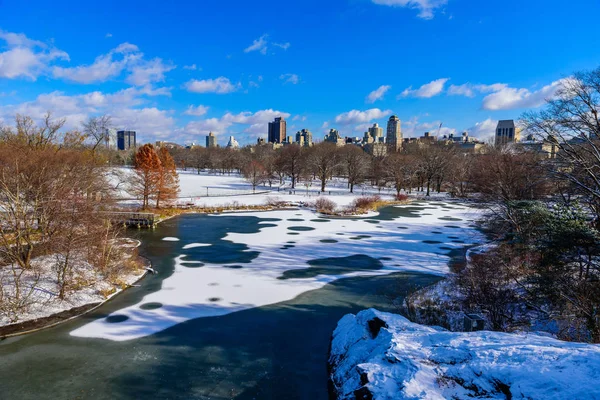 Göl Central Park New York City Kış Manzarası Abd — Stok fotoğraf