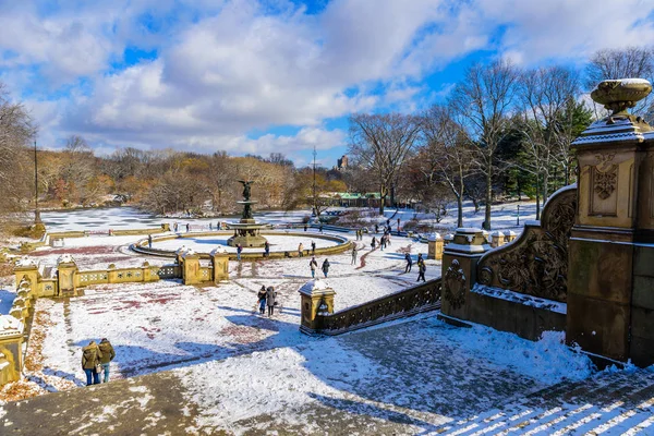 Paisajes Invierno Central Park Nueva York Con Hielo Nieve — Foto de Stock