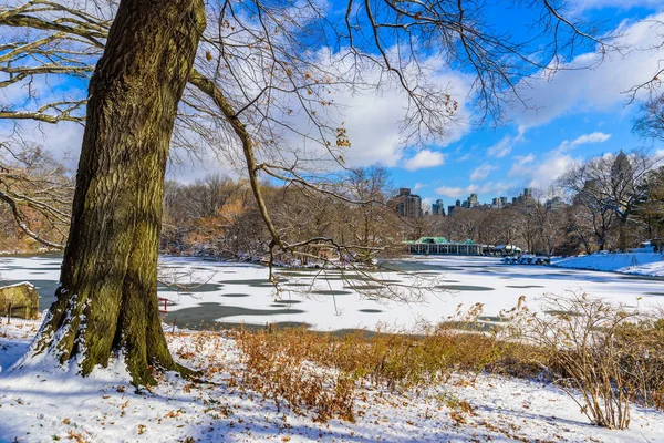 Lago Parque Central Ciudad Nueva York Paisaje Invierno — Foto de Stock