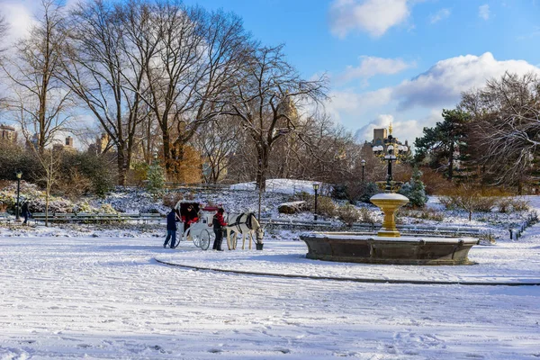 Paisajes Invierno Central Park Nueva York Con Hielo Nieve — Foto de Stock