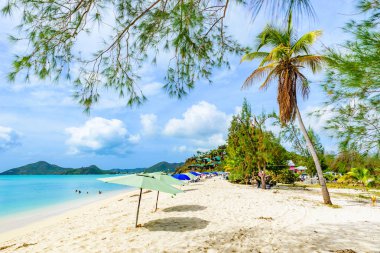 Valley Kilisesi Beach, cennet tropikal defne ada Antigua Karayip Denizi