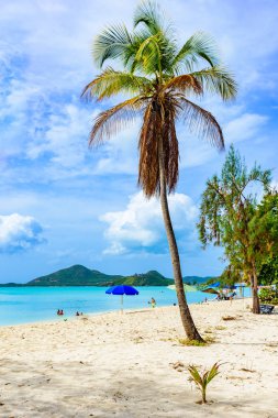 Valley Kilisesi Beach, cennet tropikal defne ada Antigua Karayip Denizi