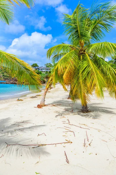 Galjoen Strand Caribische Eiland Antigua English Harbour Paradise Bay Tropisch — Stockfoto