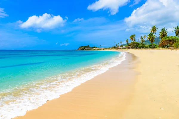 Paradise Beach Morris Bay Tropical Caribbean Island Antigua — Stock Photo, Image