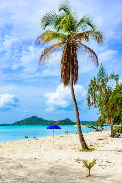 Valley Církev Beach Paradise Bay Tropické Ostrov Antigua Karibském Moři — Stock fotografie