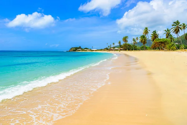 Paradise Beach Morris Bay Isla Tropical Caribeña Antigua —  Fotos de Stock