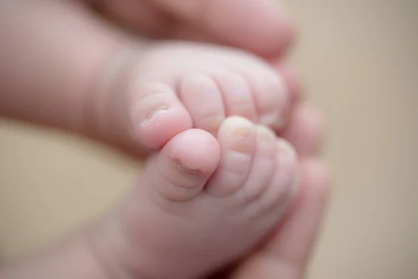 Füße Eines Neugeborenen Babys Den Händen Der Eltern Glückliches Familienkonzept — Stockfoto