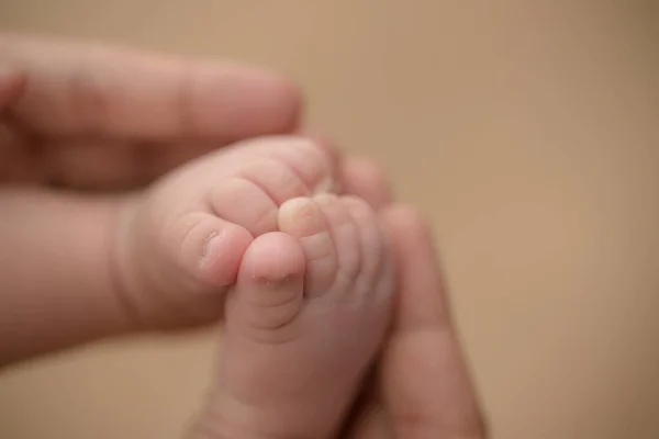 Füße Eines Neugeborenen Babys Den Händen Der Eltern Glückliches Familienkonzept — Stockfoto