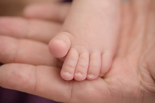 Feet Newborn Baby Hands Parents Happy Family Concept — Stock Photo, Image