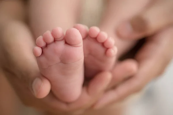 Feet Newborn Baby Hands Parents Happy Family Concept — Stock Photo, Image