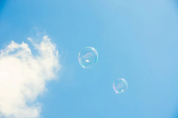 Transparent Soap Water Bubbles Blue Sky Background — Stock Photo, Image