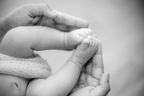 Feet Newborn Baby Hands Parents Happy Family Concept — Stock Photo, Image