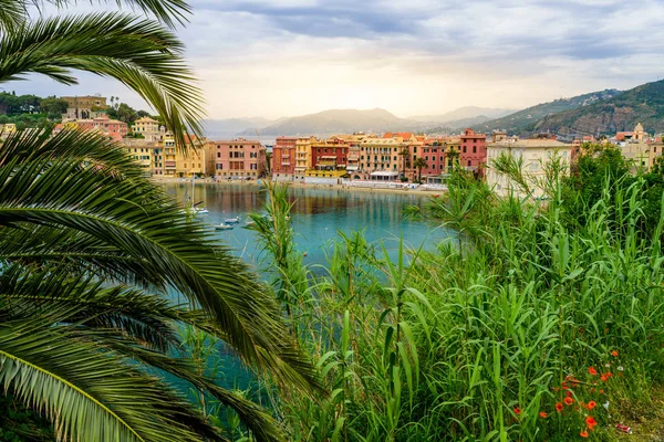 Sestri Levante Paradise Bay Silence Hajók Strand Gyönyörű Tengerpart Genova — Stock Fotó