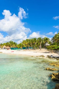 Riviera Maya - cennet Akumal Cancun, Quintana Roo, Meksika - Karayip Sahili - tropikal hedef tatil, plaj