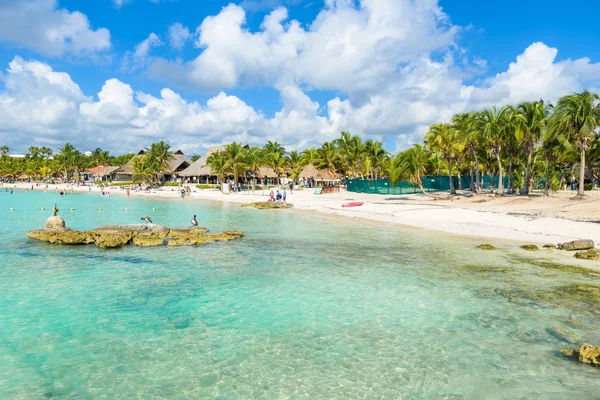 Riviera Maya Paradise Beach Akumal Cancun Quintana Roo Mexiko Karibiska — Stockfoto