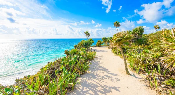 Paradiso Paesaggio Tulum Sulla Costa Tropicale Sulla Spiaggia Rovine Maya — Foto Stock