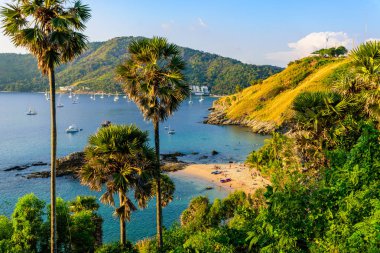 Yanui Beach Nai Harn Beach ve Promthep Cape Phuket, Tayland arasında yer alan bir cennet koy var. Günbatımında bir güneşli yaz gününde.