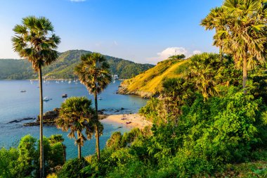 Yanui Beach Nai Harn Beach ve Promthep Cape Phuket, Tayland arasında yer alan bir cennet koy var. Günbatımında bir güneşli yaz gününde.