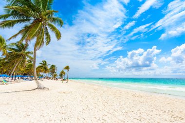 Cennet plaj güneşli yaz günü - güzel ve Tulum Quintana Roo, Riviera Maya, Cancun, Meksika tropikal Karayip sahilinde (Playa Paraiso için bilinir)