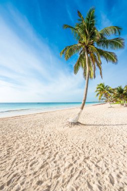 Cennet plaj güneşli yaz günü - güzel ve Tulum Quintana Roo, Riviera Maya, Cancun, Meksika tropikal Karayip sahilinde (Playa Paraiso için bilinir)