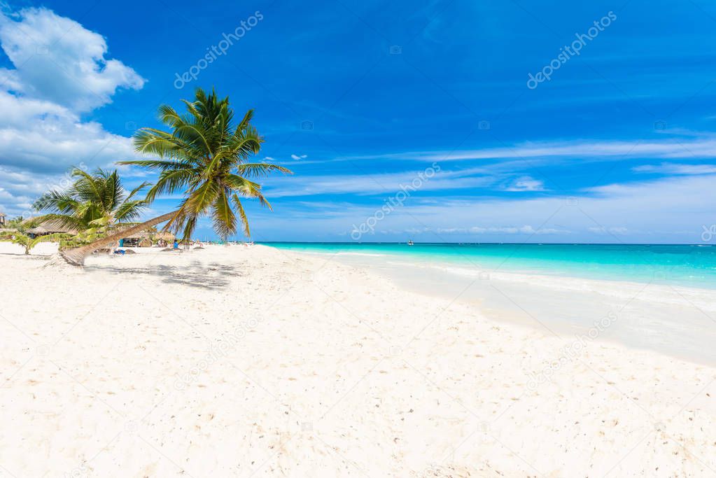 Paradise Beach (also known for Playa Paraiso) at sunny summer day - beautiful and tropical caribbean coast at Tulum in Quintana Roo, Riviera Maya, Cancun,  Mexico