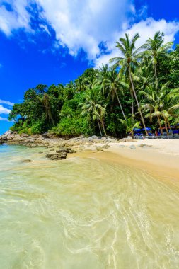 Surin plaj, altın kum, kristal su ve palmiye ağaçları ile Paradise plaj, Phuket Adası Patong alan, Tropikal seyahat hedef, Tayland