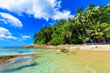 Surin plaj, altın kum, kristal su ve palmiye ağaçları ile Paradise plaj, Phuket Adası Patong alan, Tropikal seyahat hedef, Tayland