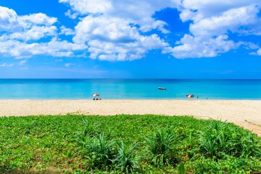 Surin plaj, altın kum, kristal su ve palmiye ağaçları ile Paradise plaj, Phuket Adası Patong alan, Tropikal seyahat hedef, Tayland