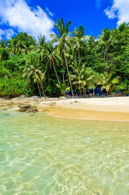 Surin plaj, altın kum, kristal su ve palmiye ağaçları ile Paradise plaj, Phuket Adası Patong alan, Tropikal seyahat hedef, Tayland