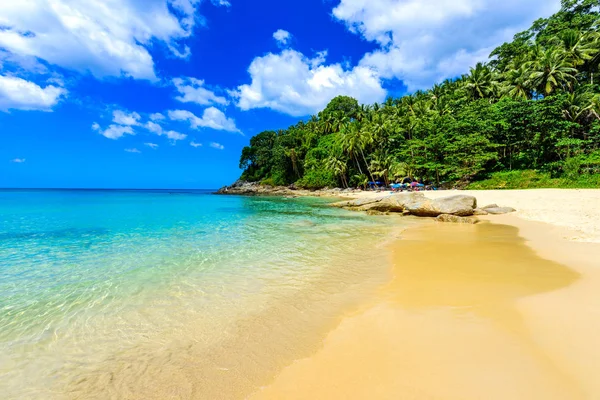 Surin Beach Paradise Beach Med Gyllene Sand Kristallvatten Och Palmer — Stockfoto