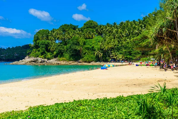 Surin Beach Paradise Beach Med Gyllene Sand Kristallvatten Och Palmer — Stockfoto