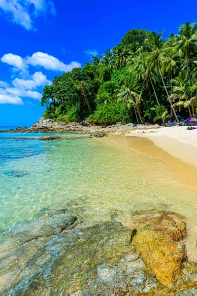 Surin Beach Paradise Beach Met Goudkleurig Zand Kristalhelder Water Palmbomen — Stockfoto