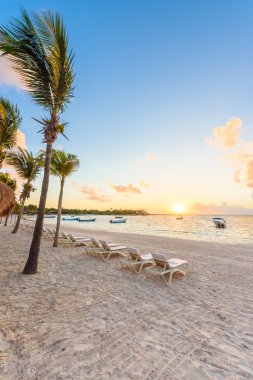 Akumal bay - Riviera Maya Karayip beyaz plaj, Yucatan ve Quintana Roo kıyıları, Meksika