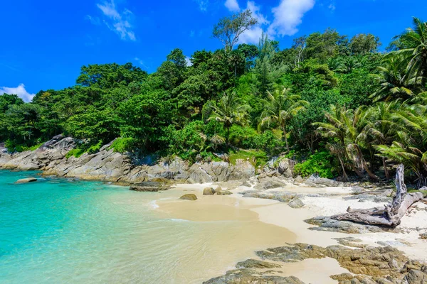 Freedom Beach Phuket Thailand Tropisch Eiland Met White Paradise Zandstrand — Stockfoto