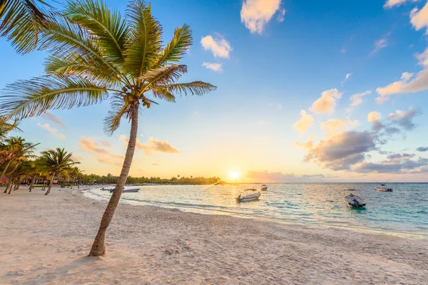 Akumal Bay Karibská Bílá Pláž Riviera Mayě Pobřeží Yucatanu Quintany — Stock fotografie