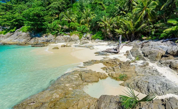 Freedom Beach Phuket Thailand Tropical Island Med Vit Paradis Sandstrand — Stockfoto