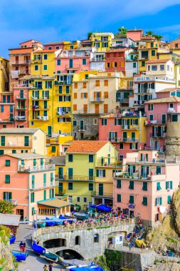 Cinque Terre Milli Parkı'ndaki Manarola Köyü'nde renkli evler. İtalya kıyılarında güzel bir manzara. La Spezia eyaletinde balıkçı köyü, Liguria, İtalya