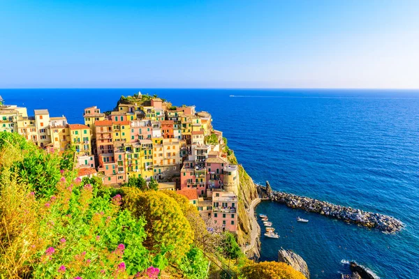 Villaggio Manarola Uno Splendido Scenario Montagna Mare Spettacolari Sentieri Escursionistici — Foto Stock