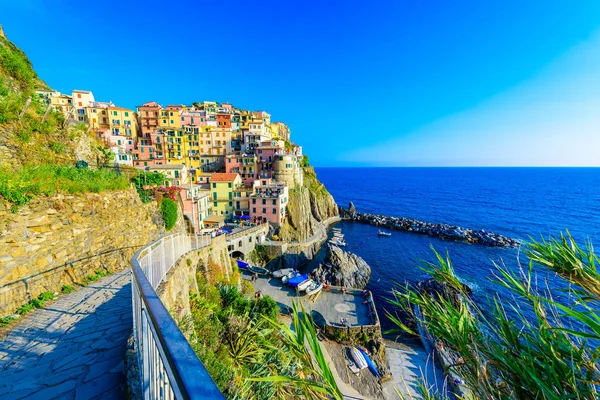 Aldeia Manarola Belas Paisagens Montanhas Mar Caminhadas Espetaculares Vinhedo Com — Fotografia de Stock