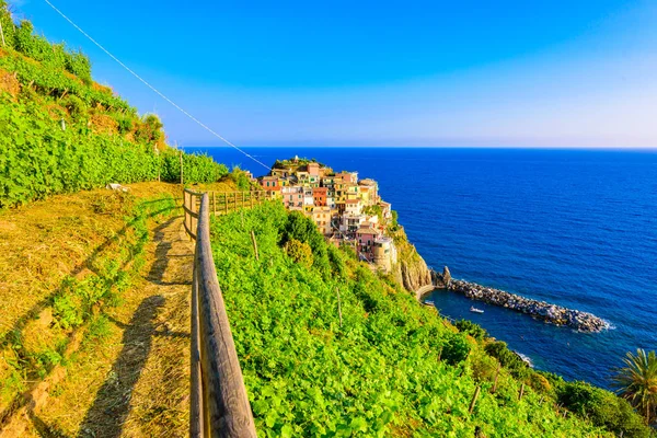 Manarola Village Beautiful Scenery Mountains Sea Spectacular Hiking Trails Vineyard — Stock Photo, Image