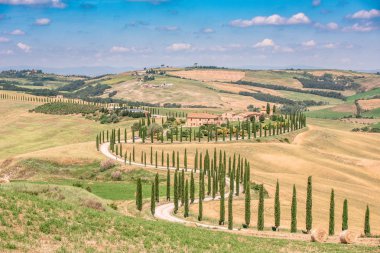 Güzel manzara sahne Toskana İtalya - selvi ağaçları beyaz yol boyunca - havadan görünümü - yakın Asciano, Toskana, İtalya