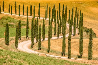 Güzel manzara sahne Toskana İtalya - selvi ağaçları beyaz yol boyunca - havadan görünümü - yakın Asciano, Toskana, İtalya