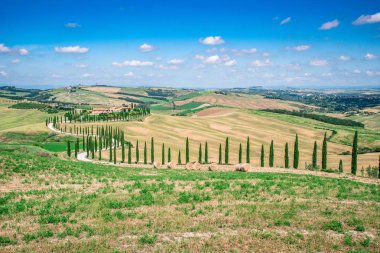 Güzel manzara sahne Toskana İtalya - selvi ağaçları beyaz yol boyunca - havadan görünümü - yakın Asciano, Toskana, İtalya