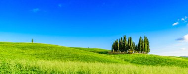 San Quirico Dorcia yakınlarındaki İtalyan selvi grubu - hava manzarası - Güzel manzara - Val Dorcia, Toskana, İtalya 
