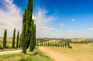 Güzel manzara sahne Toskana İtalya - selvi ağaçları beyaz yol boyunca - havadan görünümü - yakın Asciano, Toskana, İtalya
