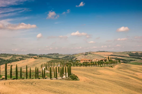 Beautiful Landscape Scenery Tuscany Italy Cypress Trees White Road Aerial — Stock Photo, Image
