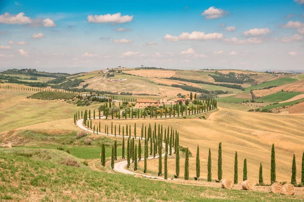 Schöne Landschaft Der Toskana Italien Zypressen Entlang Der Weißen Straße — Stockfoto