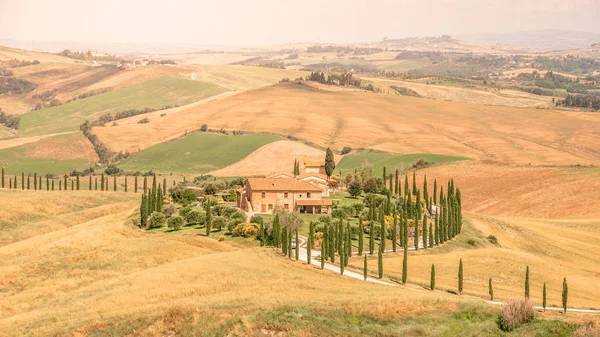 Bela Paisagem Toscana Itália Ciprestes Longo Estrada Branca Vista Aérea — Fotografia de Stock